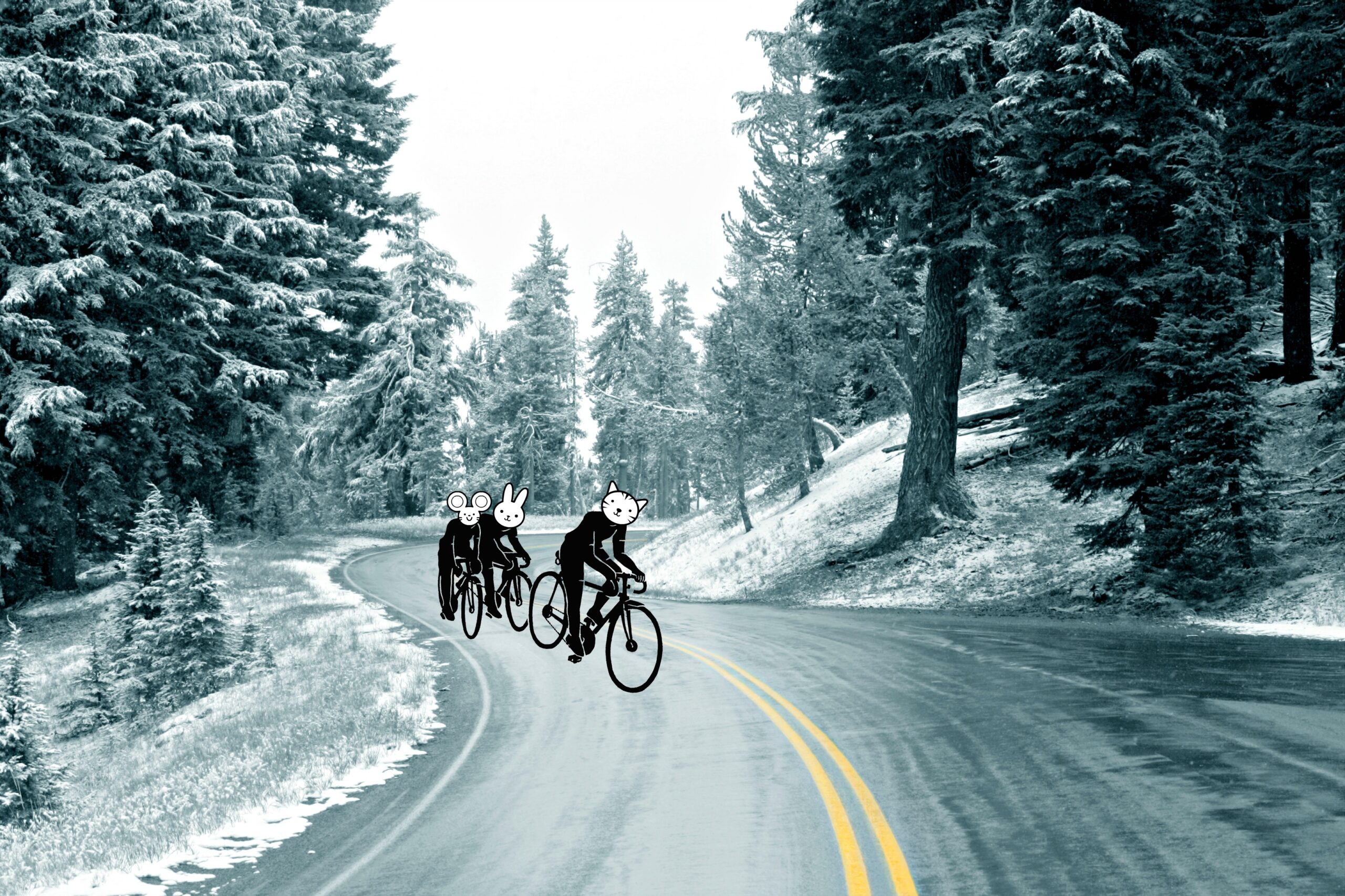 Fem tips för säker och rolig cykling på isiga vägar.