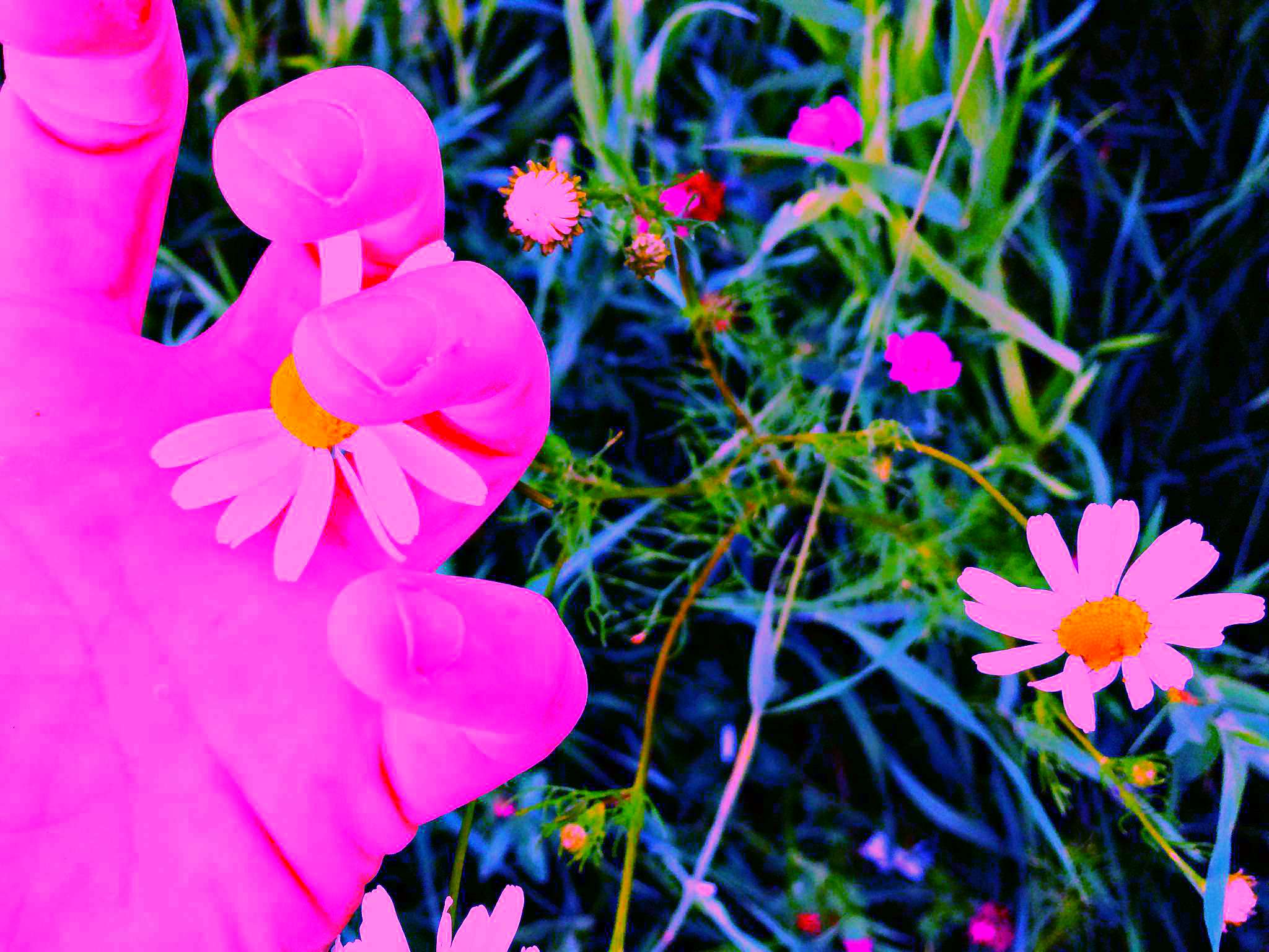 20580323371_bf65c90a61_k