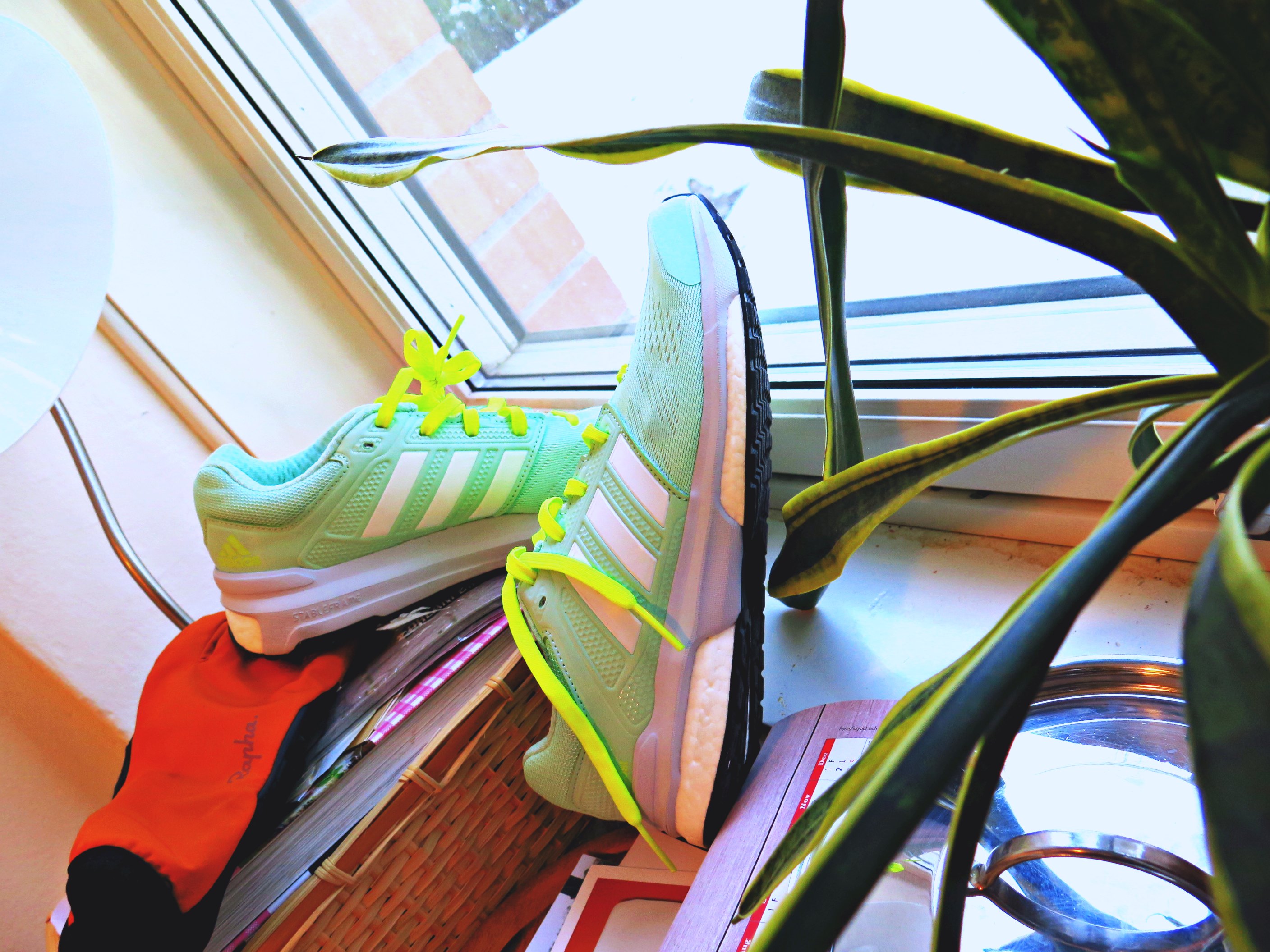adidassneakers