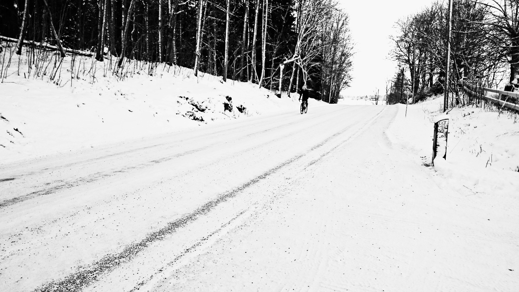 DSC_5259bw