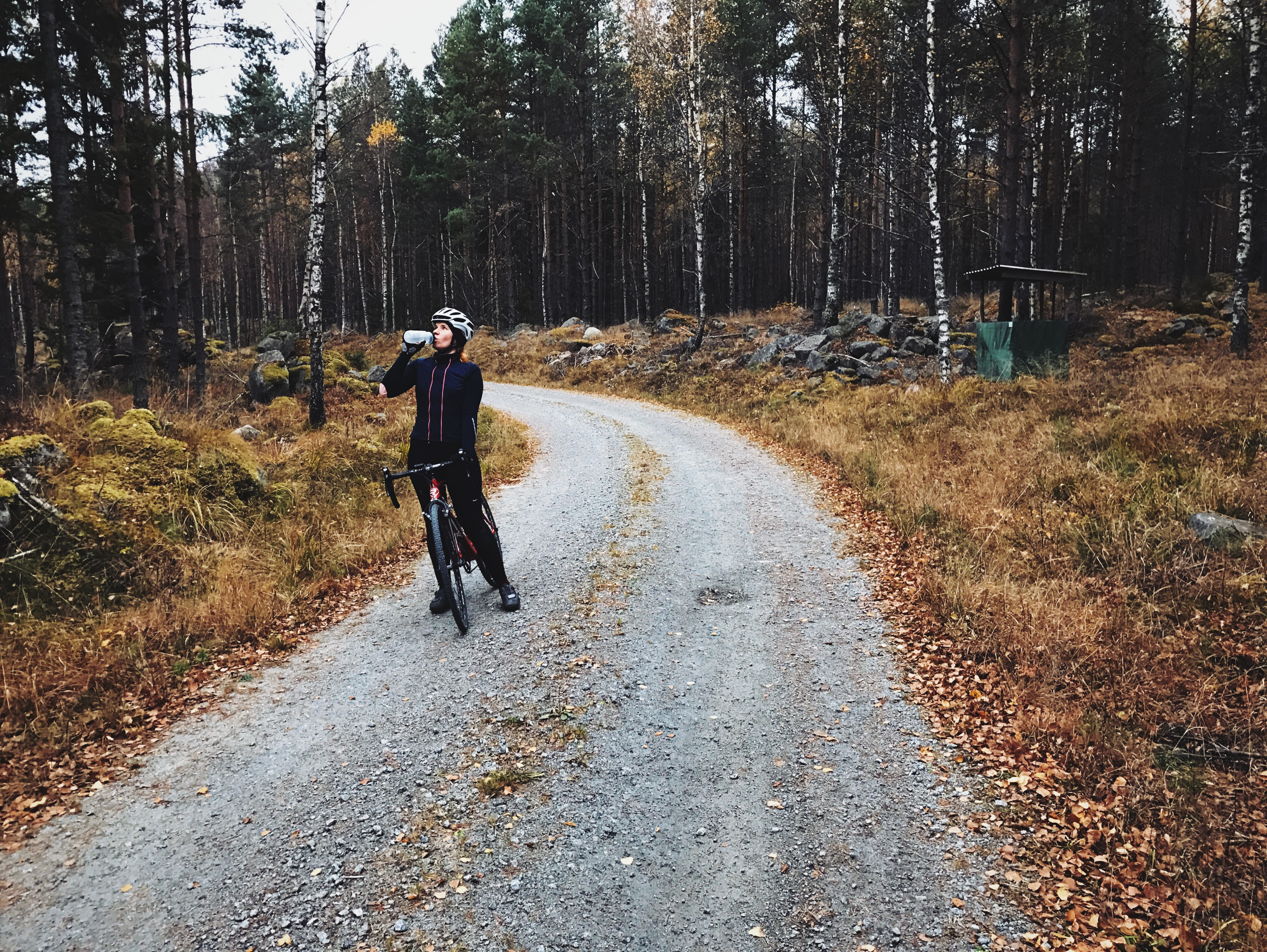 Processed with VSCO with lv01 preset