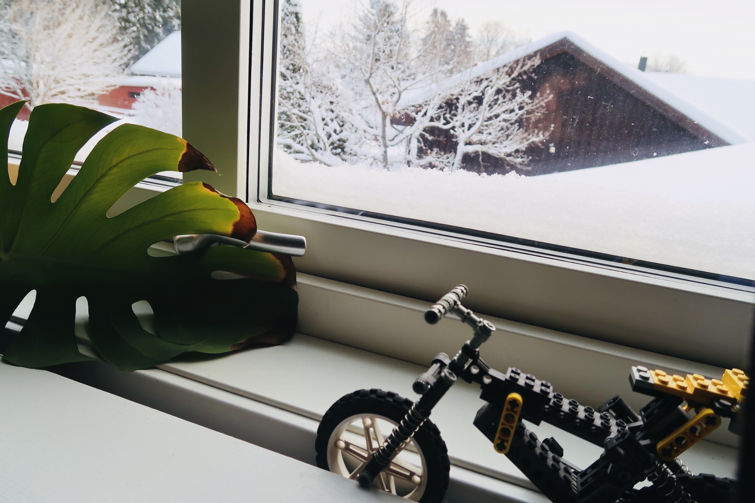 En slakmoteförkyld lördagshälsning.