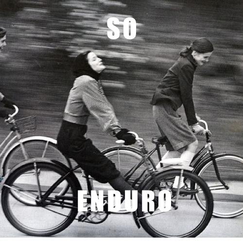 Ett gäng cycling memes sista fredagen i november