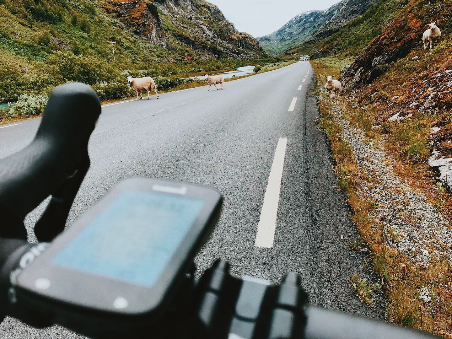 My brilliant vacation (jag är redo).